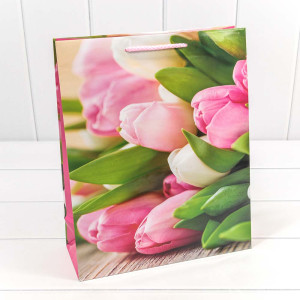 Пакет подарочный