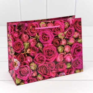 Пакет подарочный 