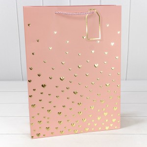 Пакет подарочный   