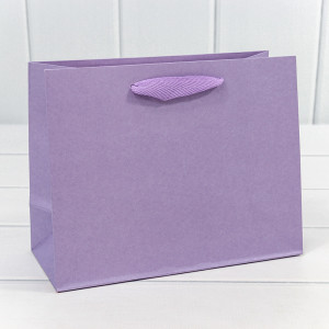 Пакет подарочный  