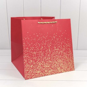 Пакет подарочный 