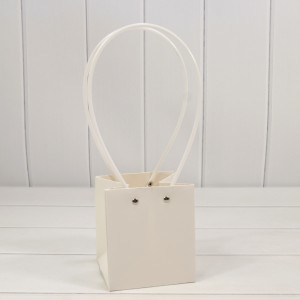 Пакет подарочный      