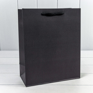 Пакет подарочный  