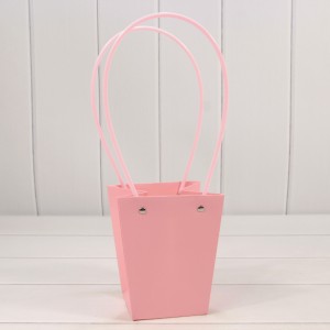 Пакет подарочный    