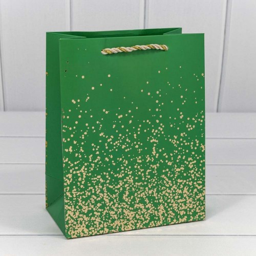 Пакет подарочный