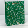 Пакет подарочный Пакет подарочный