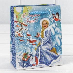 Пакет подарочный  