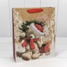 Пакет подарочный Пакет подарочный