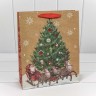 Пакет подарочный Пакет подарочный