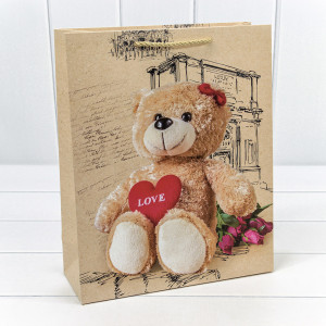 Пакет подарочный 