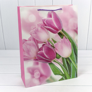 Пакет подарочный  