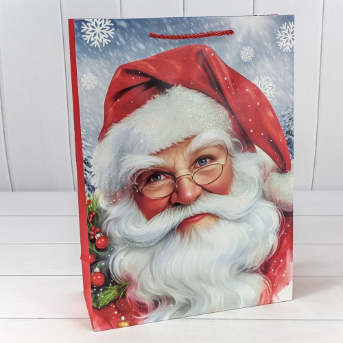 Пакет подарочный