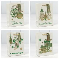 Пакет подарочный 