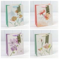 Пакет подарочный   