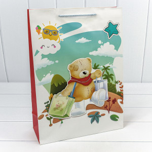 Пакет подарочный 