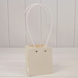 Пакет подарочный      