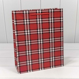 Пакет подарочный 