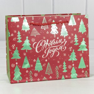 Пакет подарочный    