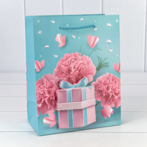 Пакет подарочный  